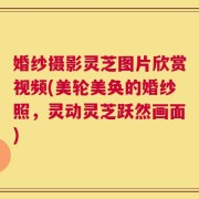 婚纱摄影灵芝图片欣赏视频(美轮美奂的婚纱照，灵动灵芝跃然画面)