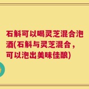 石斛可以喝灵芝混合泡酒(石斛与灵芝混合，可以泡出美味佳酿)