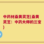 中药材桑黄灵芝(桑黄灵芝：中药大师的三宝)