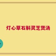 灯心草石斛灵芝煲汤