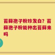 苔藓孢子粉珍发白？苔藓孢子粉能种出苔藓来吗