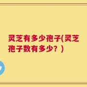 灵芝有多少孢子(灵芝孢子数有多少？)