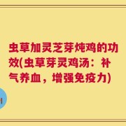 虫草加灵芝芽炖鸡的功效(虫草芽灵鸡汤：补气养血，增强免疫力)