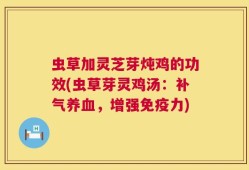 虫草加灵芝芽炖鸡的功效(虫草芽灵鸡汤：补气养血，增强免疫力)