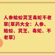 人参蛤蚧灵芝毒蛇不老草(草药大全：人参、蛤蚧、灵芝、毒蛇、不老草)