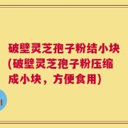 破壁灵芝孢子粉结小块(破壁灵芝孢子粉压缩成小块，方便食用)