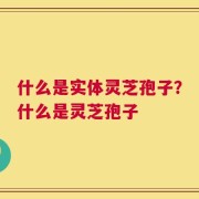 什么是实体灵芝孢子？什么是灵芝孢子