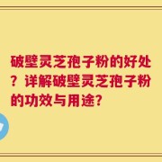 破壁灵芝孢子粉的好处？详解破壁灵芝孢子粉的功效与用途？