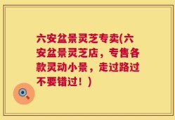 六安盆景灵芝专卖(六安盆景灵芝店，专售各款灵动小景，走过路过不要错过！)