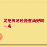 灵芝煎汤还是煮汤好喝一点