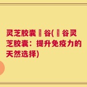 灵芝胶囊綠谷(綠谷灵芝胶囊：提升免疫力的天然选择)
