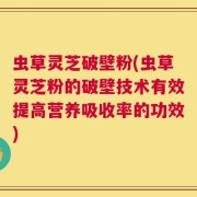 虫草灵芝破壁粉(虫草灵芝粉的破壁技术有效提高营养吸收率的功效)