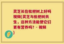 灵芝长在枇杷树上好吗视频(灵芝与枇杷树共生，这种方法能使它们更有营养吗？- 视频)