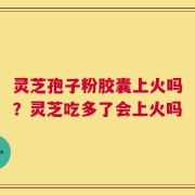 灵芝孢子粉胶囊上火吗？灵芝吃多了会上火吗
