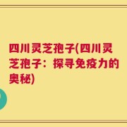 四川灵芝孢子(四川灵芝孢子：探寻免疫力的奥秘)
