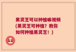 黑灵芝可以种植嘛视频(黑灵芝可种植？教你如何种植黑灵芝！)
