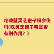 吃破壁灵芝孢子粉会伤吗(吃灵芝孢子粉是否有副作用？)