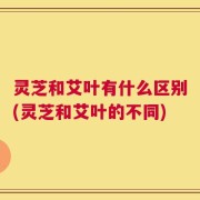灵芝和艾叶有什么区别(灵芝和艾叶的不同)