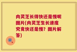 肉灵芝长得快还是慢呢图片(肉灵芝生长速度究竟快还是慢？图片解答)