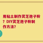 用粘土制作灵芝孢子粉？DIY灵芝孢子粉制作方法？