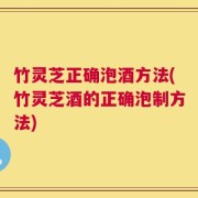 竹灵芝正确泡酒方法(竹灵芝酒的正确泡制方法)