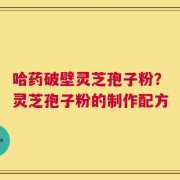 哈药破壁灵芝孢子粉？灵芝孢子粉的制作配方