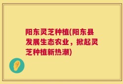 阳东灵芝种植(阳东县发展生态农业，掀起灵芝种植新热潮)