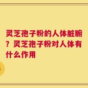 灵芝孢子粉的人体脏腑？灵芝孢子粉对人体有什么作用