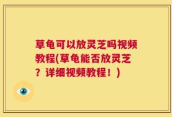 草龟可以放灵芝吗视频教程(草龟能否放灵芝？详细视频教程！)