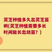 灵芝种植多久出灵芝苗啊(灵芝种植需要多长时间能长出幼苗？)