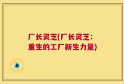 厂长灵芝(厂长灵芝：重生的工厂新生力量)