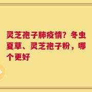 灵芝孢子肺疫情？冬虫夏草、灵芝孢子粉，哪个更好