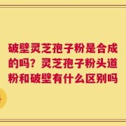 破壁灵芝孢子粉是合成的吗？灵芝孢子粉头道粉和破壁有什么区别吗
