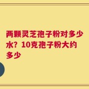 两颗灵芝孢子粉对多少水？10克孢子粉大约多少