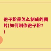 孢子粉是怎么制成的图片(如何制作孢子粉？)