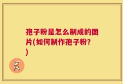 孢子粉是怎么制成的图片(如何制作孢子粉？)