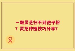 一颗灵芝扫不到孢子粉？灵芝种植技巧分享？