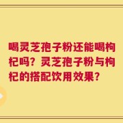 喝灵芝孢子粉还能喝枸杞吗？灵芝孢子粉与枸杞的搭配饮用效果？