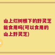 山上烂树根下的野灵芝能食用吗(可以食用的山上野灵芝)