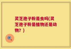 灵芝孢子粉是虫吗(灵芝孢子粉是植物还是动物？)