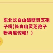 东北长白山破壁灵芝孢子粉(长白山灵芝孢子粉再度惊艳！)