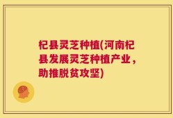 杞县灵芝种植(河南杞县发展灵芝种植产业，助推脱贫攻坚)