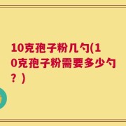 10克孢子粉几勺(10克孢子粉需要多少勺？)