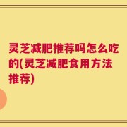 灵芝减肥推荐吗怎么吃的(灵芝减肥食用方法推荐)