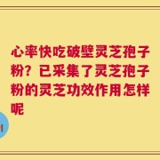 心率快吃破壁灵芝孢子粉？已采集了灵芝孢子粉的灵芝功效作用怎样呢