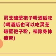 灵芝破壁孢子粉酒后吃(喝酒后也可以吃灵芝破壁孢子粉，祛除身体疲劳)
