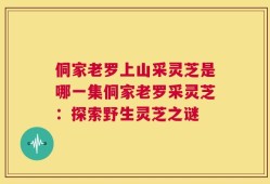 侗家老罗上山采灵芝是哪一集侗家老罗采灵芝：探索野生灵芝之谜