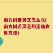 南方树舌灵芝怎么吃(南方树舌灵芝的正确食用方法)