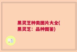 黑灵芝种类图片大全(黑灵芝：品种图鉴)