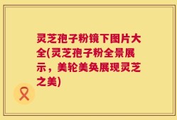 灵芝孢子粉镜下图片大全(灵芝孢子粉全景展示，美轮美奂展现灵芝之美)